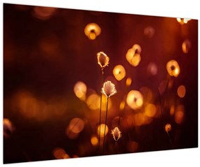 Tablou - Dimineața (90x60 cm)