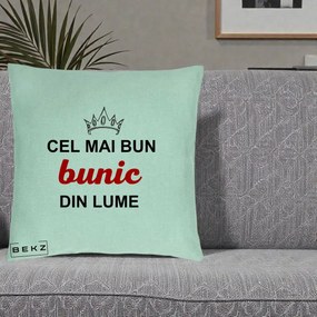 Cadou pentru Bunic - Perna Personalizata Cel Mai Bun Bunic Din Lume Coroana Rosu, 40x40 cm, Verde Menta, Husa Detasabila, Perna Inclusa, BEKZ®