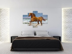 Tablou - Caii pe plajă (150x105 cm)