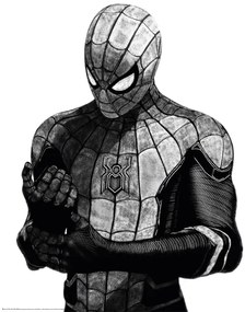 Poster Spider-man