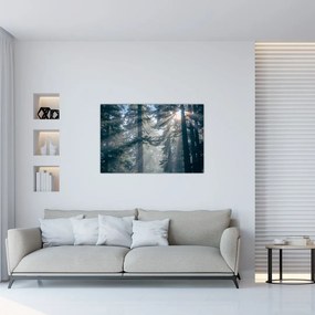 Tablou cu copaci și soarele translucind (90x60 cm)