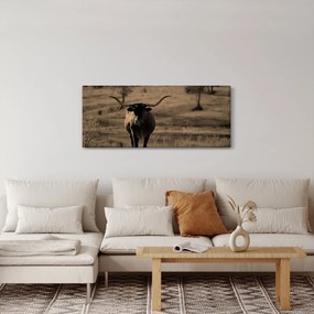 Tablou - Vacă din Texas (120x50 cm)