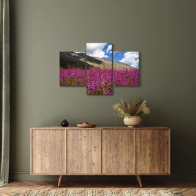 Tablou sceneriei cu lunca montană (90x60 cm)