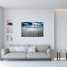 Tablou cu câmp (90x60 cm)