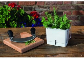 Tocător de bucătărie pentru tăietor dublu pentru ierburi 21,5x51,5 cm fag Cole&Mason