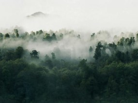 Tapet Misty Woodland, Green, Rebel Walls