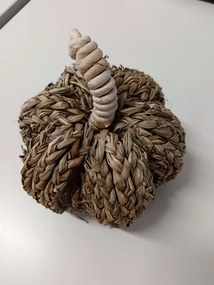 OFERTA Decoratiune dovleac PUMPKIN COACH GRASS II.calitate