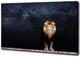 Tablou pe pânză canvas Leul pe fondul de stele