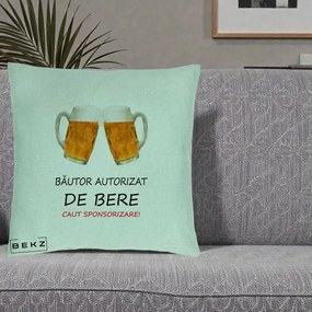 Perna Decorativa Bautor Autorizat de Bere, 40x40 cm, Verde Menta, Husa Detasabila, Perna Inclusa, BEKZ®
