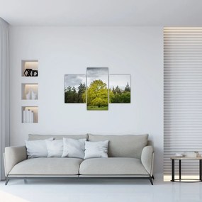 Tablou - Copac verde în câmp (90x60 cm)