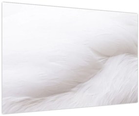 Tablou - Pană albă (90x60 cm)