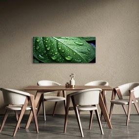 Tablou - Detaliu de frunze după ploaie (120x50 cm)