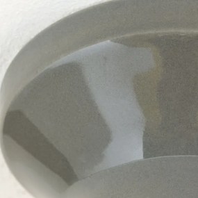 Orion - Plafonieră FROST 1xE27/60W/230V, gri