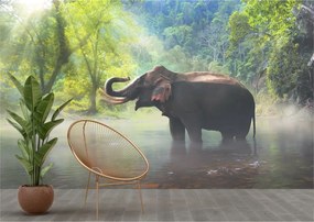Tapet Premium Canvas - Elefant in apa