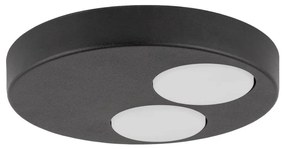 Plafonieră BROS 2xGX53/12W/230V negru