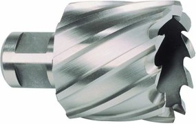 Burghiu gol RUKO 32 mm Weldon