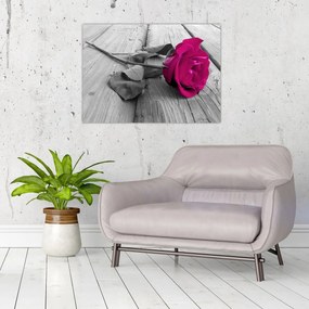 Tablou - Trandafir roz (70x50 cm)