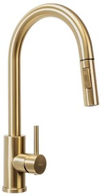 REA-B9148 - Baterie pentru chiuvetă FRESH cu cap extractabil, 39,5 cm, auriu periat