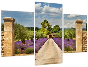 Tablou - Căi de lavandă (90x60 cm)