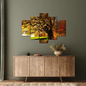 Tablou cu copac toamna (150x105 cm)