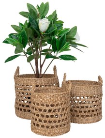 Coșuri Balok, iarbă de mare, natural, 3db