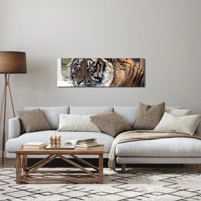 Tablou cu tigrul (cu ceas) (90x30 cm)