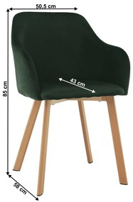Zondo Scaun de sufragerie Talira (verde + fag). 809575