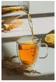 Cană cu perete dublu Vialli Design Molly, 480 ml