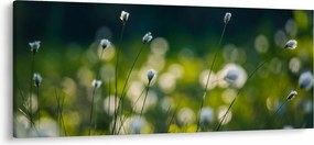 Tablou - Iarbă (120x50 cm)