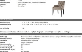 Scaun cu brate design elegant LUX Atena, catifea gri 113795 HZ