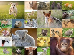 PUZZLE PUI DE ANIMALE, 200 PIESE - RAVENSBURGER (RVSPC13353)