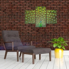 Tablou - Peacock (90x60 cm)