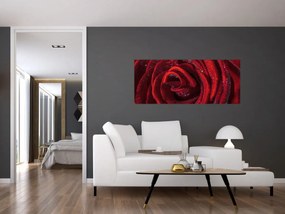 Tablou - Trandafir roșu cu picături de rouă (120x50 cm)
