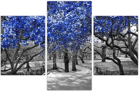 Tablou - Copaci albaștri Central Park, New York (90x60 cm)