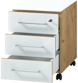 Dulap alb cu aspect de lemn de stejar 40x55 cm Monteria – Germania