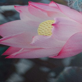 Tablou cu floare roz (120x50 cm)
