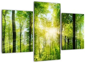 Tablou - Răsărit în pădure (90x60 cm)