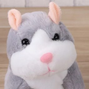 Hamster interactiv vorbitor - sur