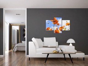 Tablou cu macii (90x60 cm)