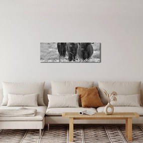 Tablou - Vaci scoțiene (cu ceas) (90x30 cm)