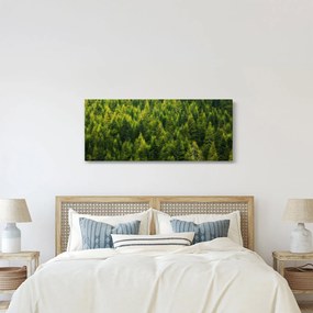 Tablou - Pădure deasă (120x50 cm)