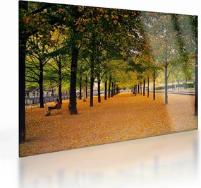 Tablou pe sticlă cu alee cu copaci în toamnă (70x50 cm)
