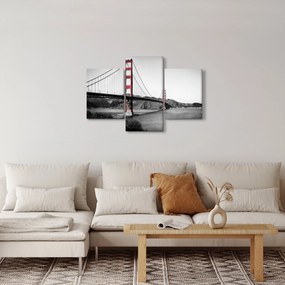 Tablou cu pod (90x60 cm)
