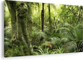 Tablou - Pădure tropicală (90x60 cm)