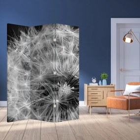 Paravan - Mulțime de păpădii (126x170 cm)