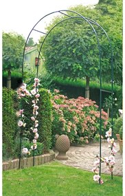Arcadă pentru plante cățărătoare - Garden Pleasure