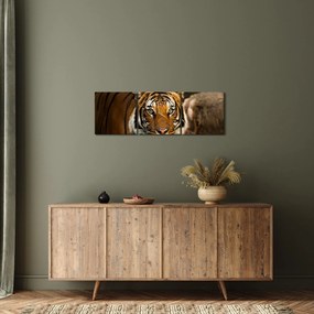 Tablou cu tigrul (cu ceas) (90x30 cm)