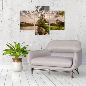 Tablou naturii cu raze de soae (90x60 cm)