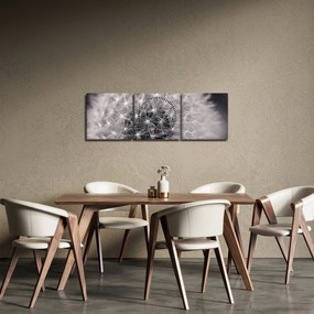 Tablou cu păpădie (cu ceas) (90x30 cm)