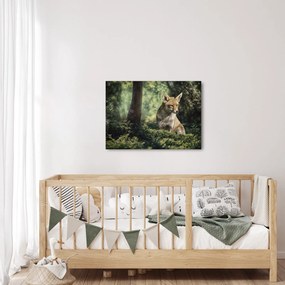 Tablou cu vulpe (70x50 cm)
